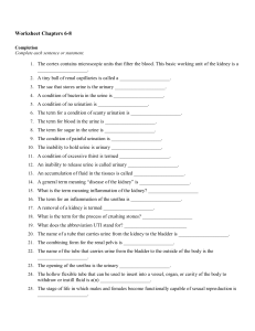 Worksheet Chapters 6-8