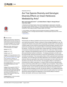 Are Tree Species Diversity and Genotypic Diversity Effects on Insect