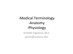 Medical)Terminology) !Anatomy) !Physiology