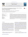 The complete mitochondrial genome of the black surfperch