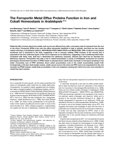 The Ferroportin Metal Efflux Proteins Function in Iron and Cobalt