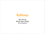 “Reflexes” presentation ()