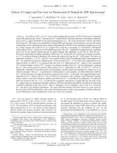 Effects of Copper and Zinc Ions on Photosystem II Studied by EPR