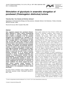 Stimulation of glycolysis in anaerobic elongation of pondweed