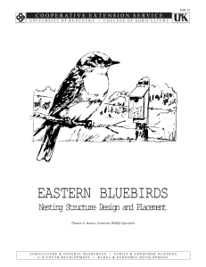 Eastern Bluebirds - UK College of Agriculture