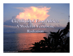 Adaptive Radiation in Rift Lake Cichlids