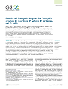 Full Text  - Genes | Genomes | Genetics