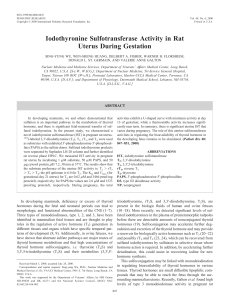 Iodothyronine Sulfotransferase Activity in Rat Uterus During