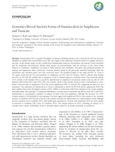 Genomics Reveal Ancient Forms of Stanniocalcin in Amphioxus and