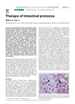 Therapy of intestinal protozoa