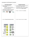 Convergent and Divergent Evolution