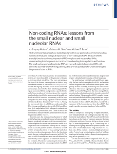 Non-coding RNAs - Biology Department | UNC Chapel Hill