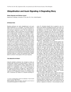 Ubiquitination and Auxin Signaling: A Degrading Story