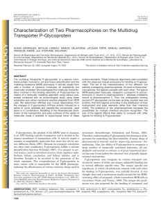 Characterization of Two Pharmacophores on the Multidrug