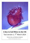 A Key to Soil Mites in the UK Test version 1: 7 March 2014