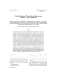 Carbon balance of a southern taiga spruce stand in European Russia