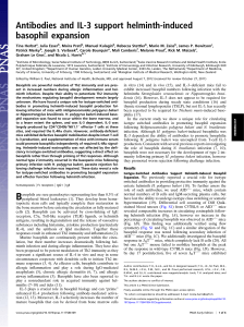 Antibodies and IL-3 support helminth-induced basophil