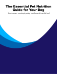 The Essential Pet Nutrition Guide for Your Dog