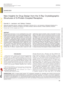 New Insights for Drug Design from the X