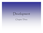 3_Development