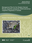 Western Harvest Mouse (Reithrodontomys megalotis megalotis)