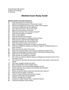 Skeletal Exam Study Guide