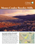 Moses Coulee Beezley Hills