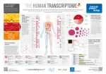 Protein RNA DNA - Molecular Systems Biology