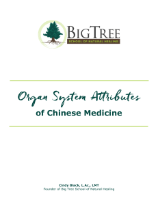 Organ System Attributes of Chinese Medicine