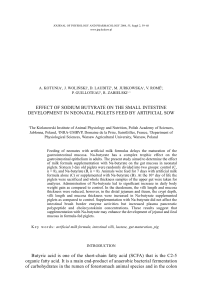 EFFECT OF SODIUM BUTYRATE ON THE SMALL INTESTINE