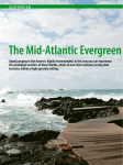 the Mid-atlantic evergreen Volcanoes