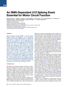 An SMN-Dependent U12 Splicing Event Essential for Motor