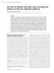 The role of calcium and other ions in sorting and delivery in the late