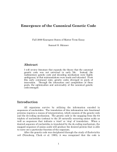 Emergence of the Canonical Genetic Code