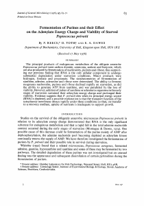 Fermentation of Purines and their Effect on the