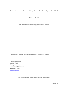 Tassia 1 Benthic Macrofauna Abundance Along a Transect from