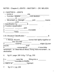 NOTES – Chapter 8, JOINTS – ANATOMY I – DR. NELSON 2