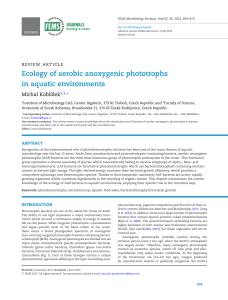 Ecology of aerobic anoxygenic phototrophs in aquatic environments
