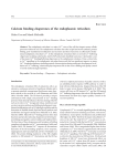 Calcium binding chaperones of the endoplasmic reticulum