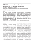 Phosphatidylcholine traffic to the vacuole