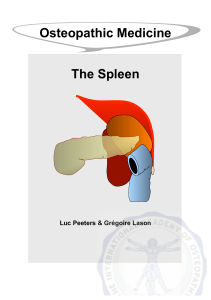 Osteopathic Medicine The Spleen - Overzicht e-books