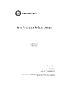 Spin-Polarizing Sodium Atoms