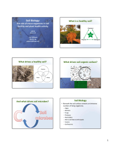 Soil Biology: