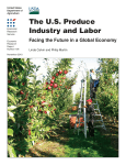 The US Produce Industry and Labor: Facing the Future in