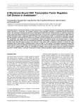 A Membrane-Bound NAC Transcription Factor Regulates Cell