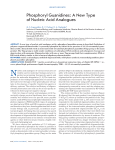 Phosphoryl Guanidines: A New Type of Nucleic Acid Analogues