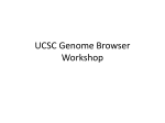 UCSC Genome Browser Workshop
