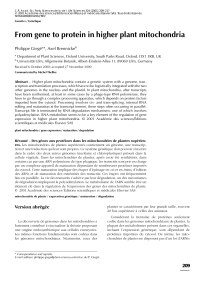 From gene to protein in higher plant mitochondria