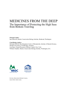 Medicines from the Deep - Marine Conservation Biology Institute