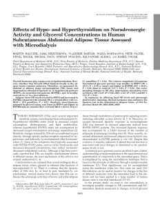 Effects of Hypo- and Hyperthyroidism on Noradrenergic Activity and